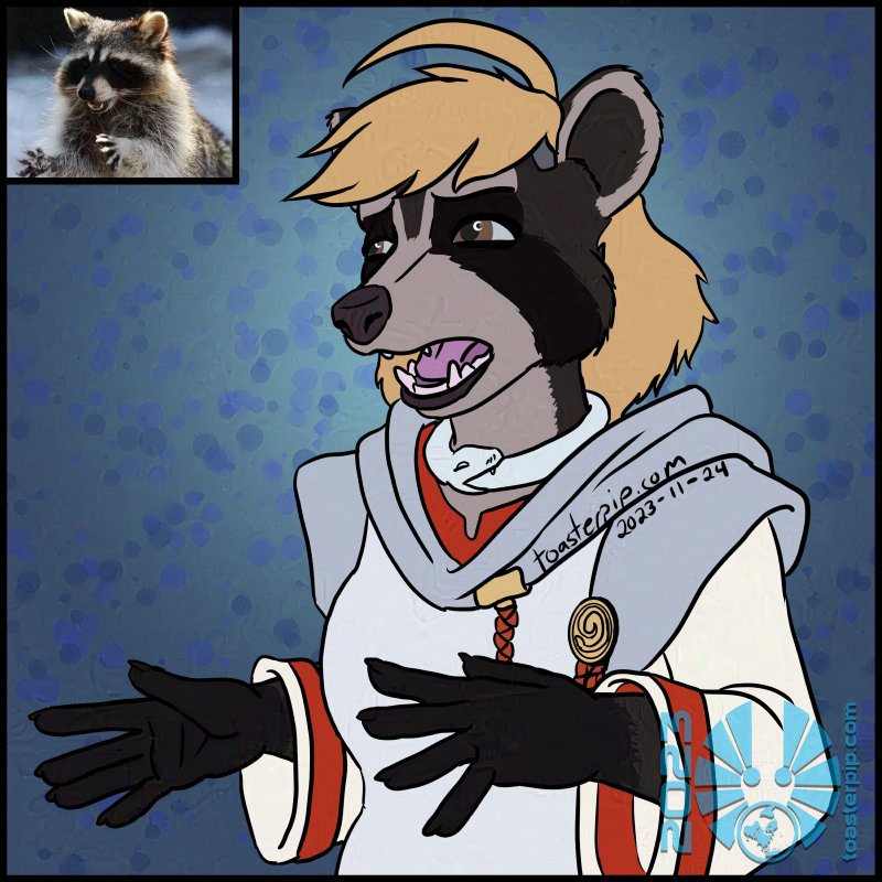 A waist-up portrait of Amelie Laveur, the anthro raccoon doctor. She is shown in her Argent Order robes with her hands held up and a concerned expression, as though emphatically explaining a dire situation or warning someone against a course of action. In the corner, an image of a real raccoon in a similar pose is inset to show the inspiration.