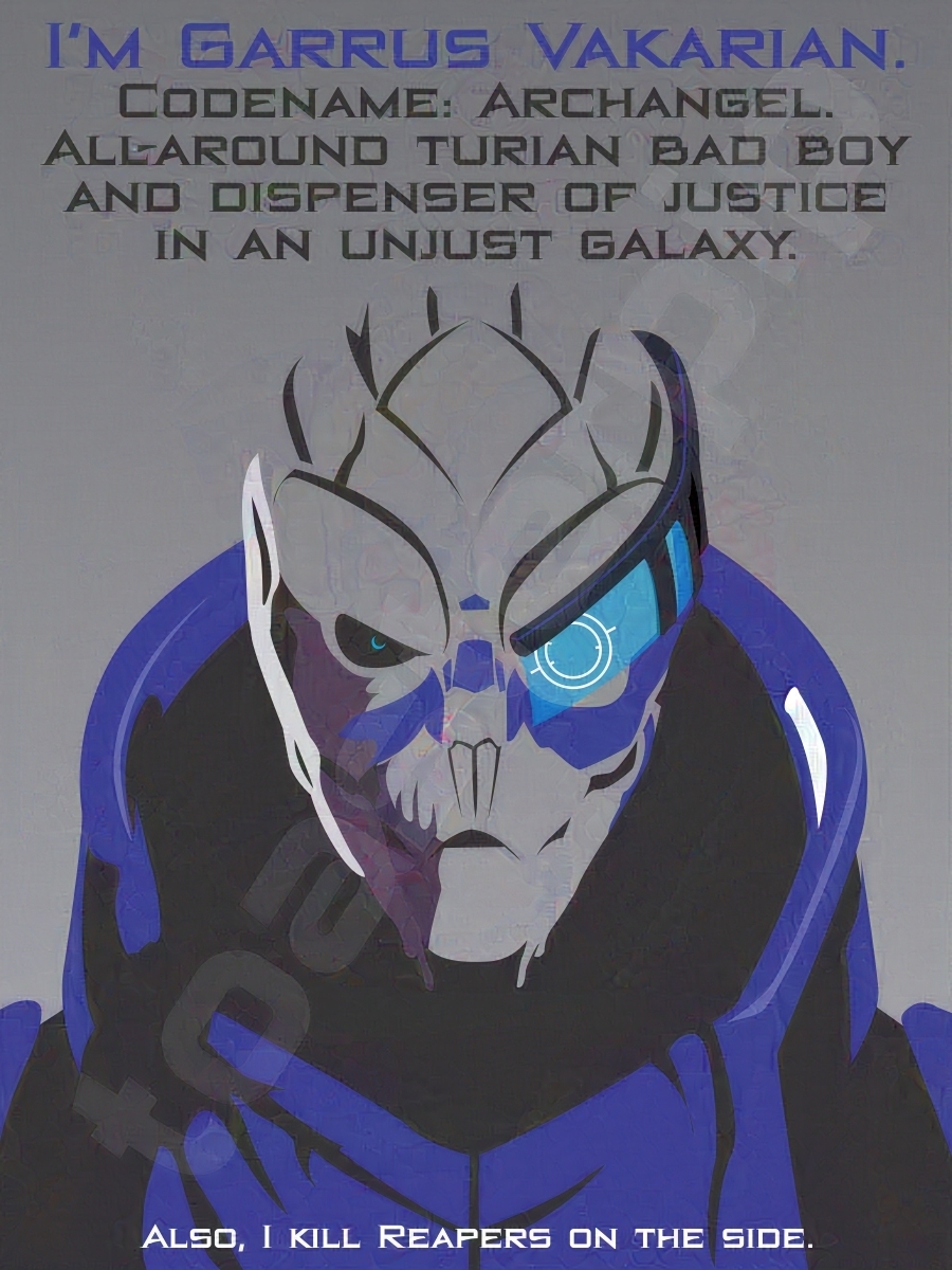 A poster of Garrus Vakarian from the game Mass Effect. The poster features a minimalist rendering of Garrus, as well as a quote from the game. The quote reads: "I'm Garrus Vakarian. Codename: Archangel. All-around Turian bad boy and dispenser of justice in an unjust galaxy. Also, I kill Reapers on the side."